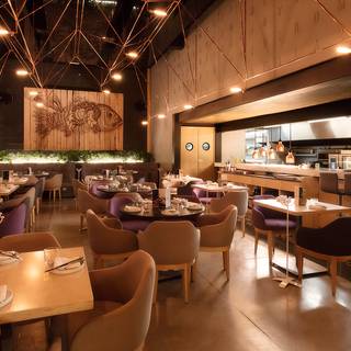 Intro Restaurant