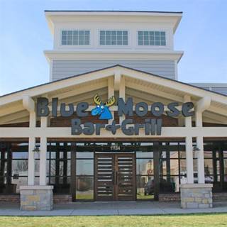 Blue Moose - Red Bridge