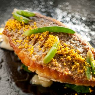 Mr. Hive Kitchen and Bar - Crown Melbourne