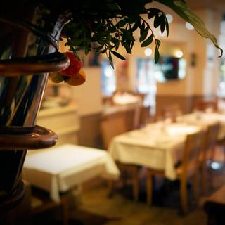 Rendezvous Brasserie ltd