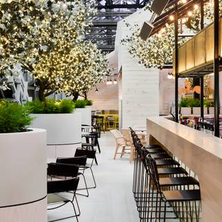 Alibi - Wooloomooloo