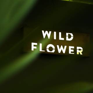 Wildflower