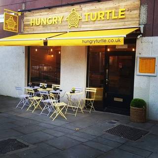 Hungry Turtle
