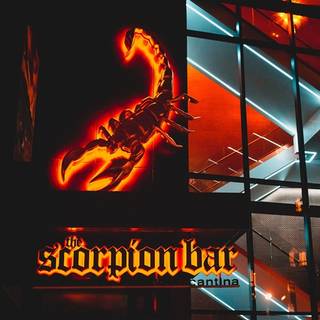 Scorpion Bar - Seaport
