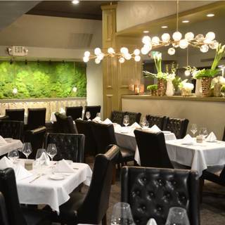 Diplomat Steakhouse