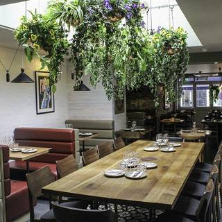 Tonica - Exmouth Market