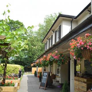 The Telegraph - Putney Heath