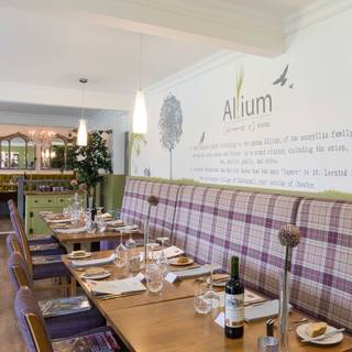 Allium Bar and Grill
