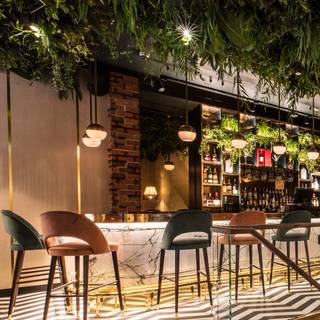 Zuaya London