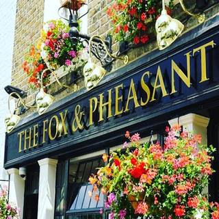 The Fox & Pheasant