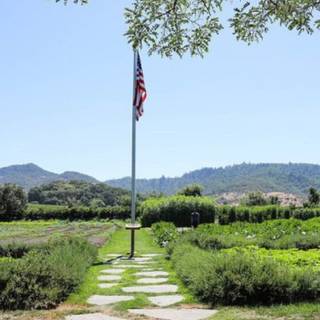 Flavors of Yountville - a Culinary Tour of Yountville