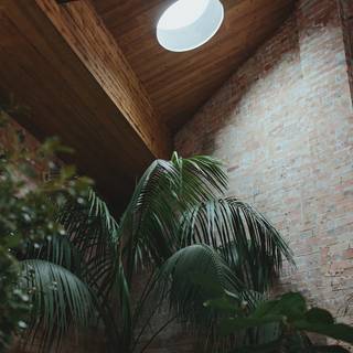 Half Acre