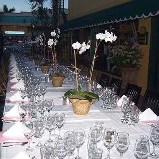 Boheme Bistro
