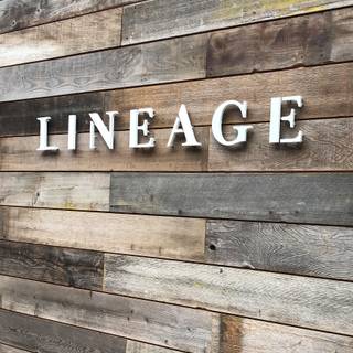 Lineage Maui