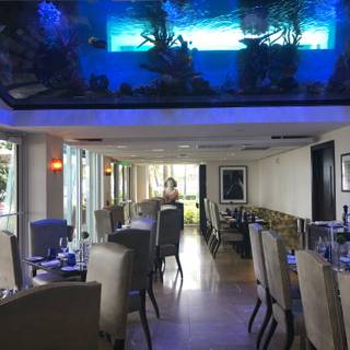 Chanson / Royal Blues Hotel