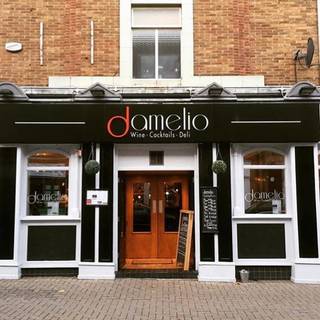 Damelio