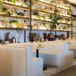 Best Restaurants In Ft Lauderdale Broward County Opentable Dune At Auberge Beach