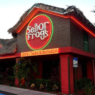 10 Restaurants Near Springhill Suites By Marriott Orlando Convention SeƱor Frog S Orlando