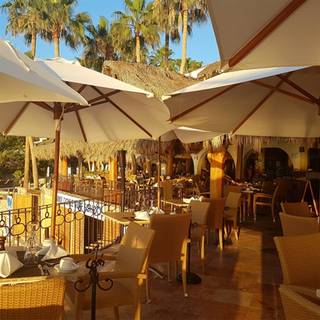 7 Seas Seafood Grille