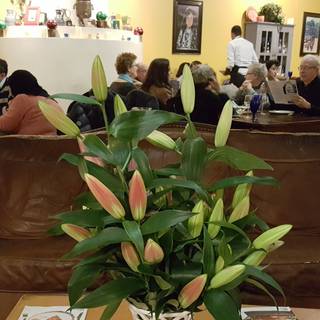 The Helmand Restaurant