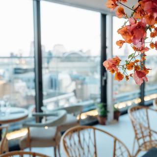 Bourne & Hollingsworth Garden Room