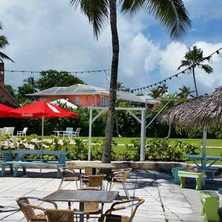 The Green Parrot - Harbour Front