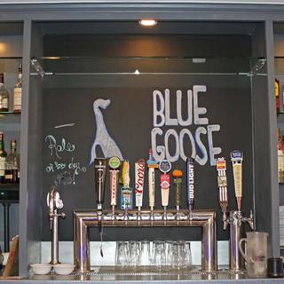 Blue Goose