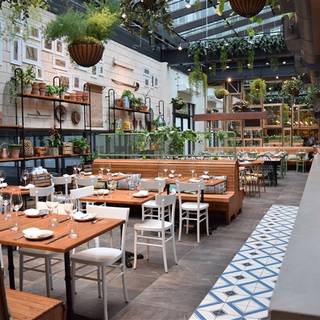 Terra at Eataly Boston