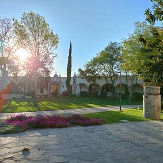 Viñedo Los Remedios