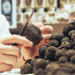 Truffes Folies Paris 7