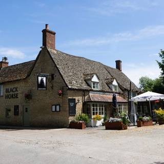 The black horse