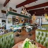 Cover image for Great Maple San Diego