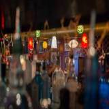 Cover image for L'Opossum