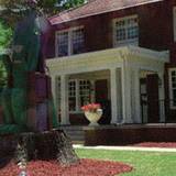 Cover image for Cajun Queen