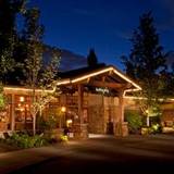 Cover image for Barking Frog