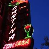 Cover image for Cantina Italiana