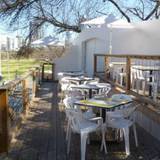 Cover image for El Alma Cafe y Cantina