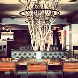 Cover image for SAGE