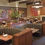 Cover image for Weber Grill - Schaumburg