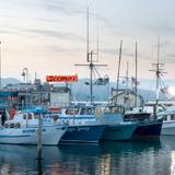 Cover image for Scoma's Fisherman's Wharf