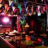 Cover image for Paradise Palms