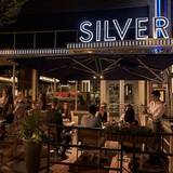 Cover image for Silver