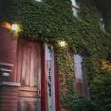 Cover image for A Tavola