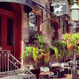 Cover image for White Dog Cafe - University City