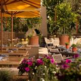 Cover image for The Front Yard