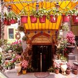 Cover image for DaMarino NYC