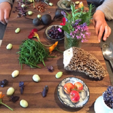 Cover image for Harvest Beat