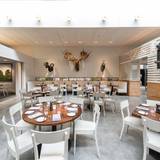 Cover image for The Hive at 21c