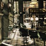 Cover image for Saltine