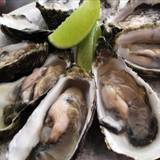 Cover image for Kee Oyster House